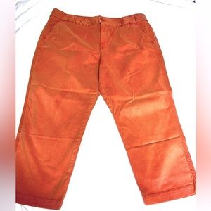 COLDWATER CREEK NATURAL FIT DENIM Cropped  JEANS SIZE 16P Cabincore